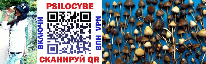 Купить  Вольск  Галлюциногенные грибы GOLDEN TEACHER 
